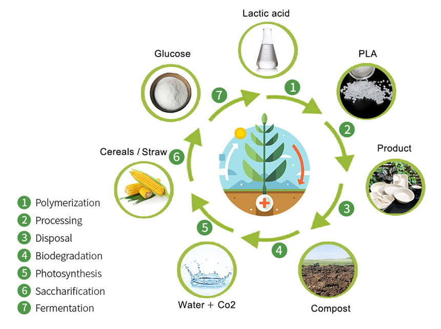 Diagrama del ciclo compostable poliláctico