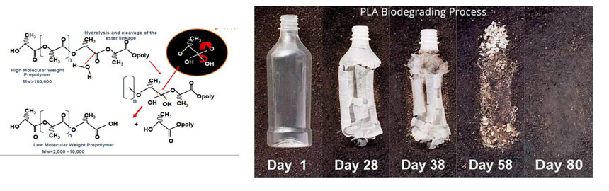 Proceso de biodegradación PLA