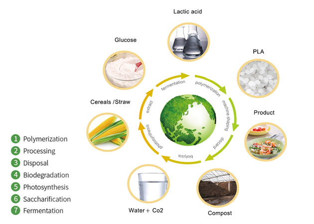 Material de envasado de alimentos biodegradable: la resina de gránulos de PLA se ha convertido en el nuevo favorito de la industria del envasado de alimentos.
