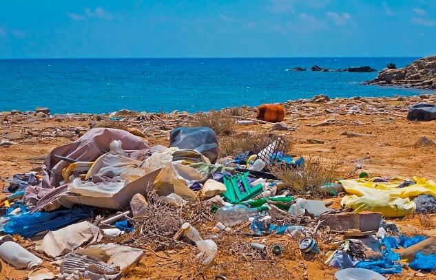 Global ban plastics - Alemania plastic ban - promueve el uso de plásticos biodegradables